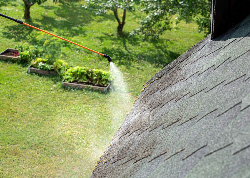 Preventative Roof Care